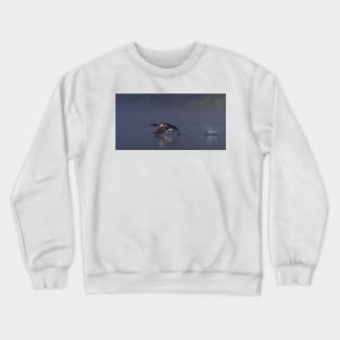 Common loon skipping Crewneck Sweatshirt